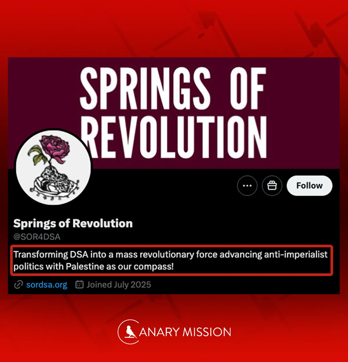 Springs of Revolution: Transforming DSA into a mass revolutionary force advancing anti-imperialist politics with Palestine as our compass!